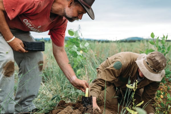 Mongolia Solar Power Project
